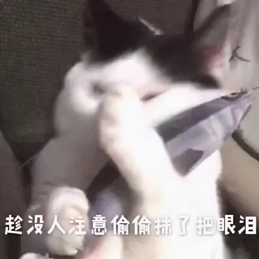 足球界陈冠希爆红,陈冠希人生低谷