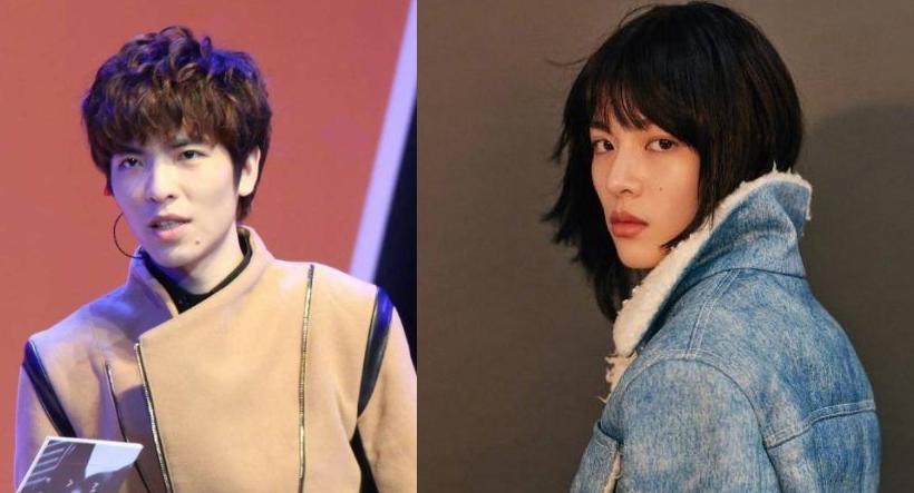 撞脸的明星都是双胞胎吗,娱乐圈里撞脸最多的女明星