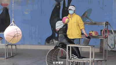 儿童节去儿童乐园,儿童节去公园玩