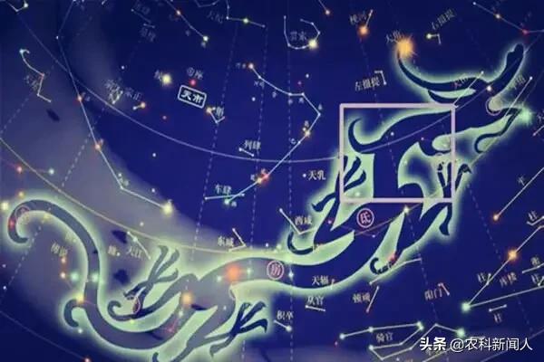 天干地支的深度解析,天干地支22字深度解析