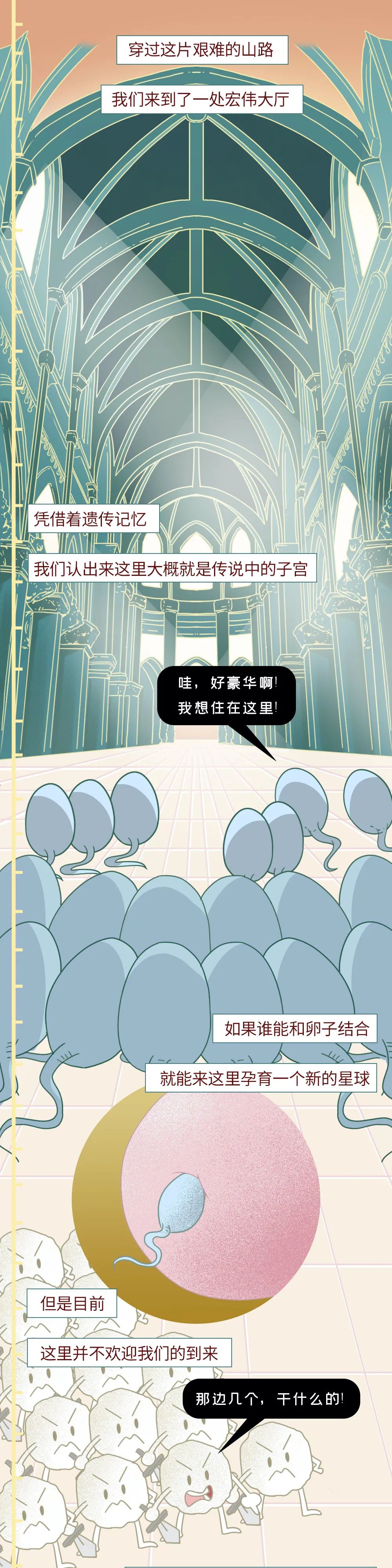 男性精子在体内存活时间,精子在体内的存活率几天