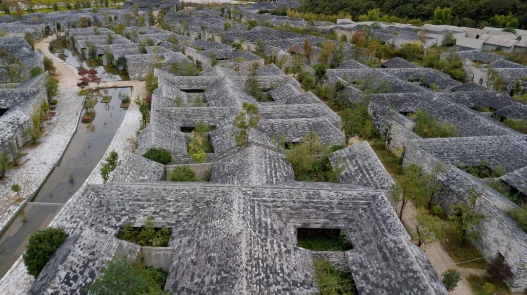 这是一个生机勃勃的地方关于它的故事才刚刚开始