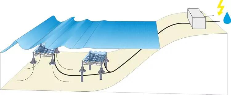 cis科研课程,cis科研项目学费