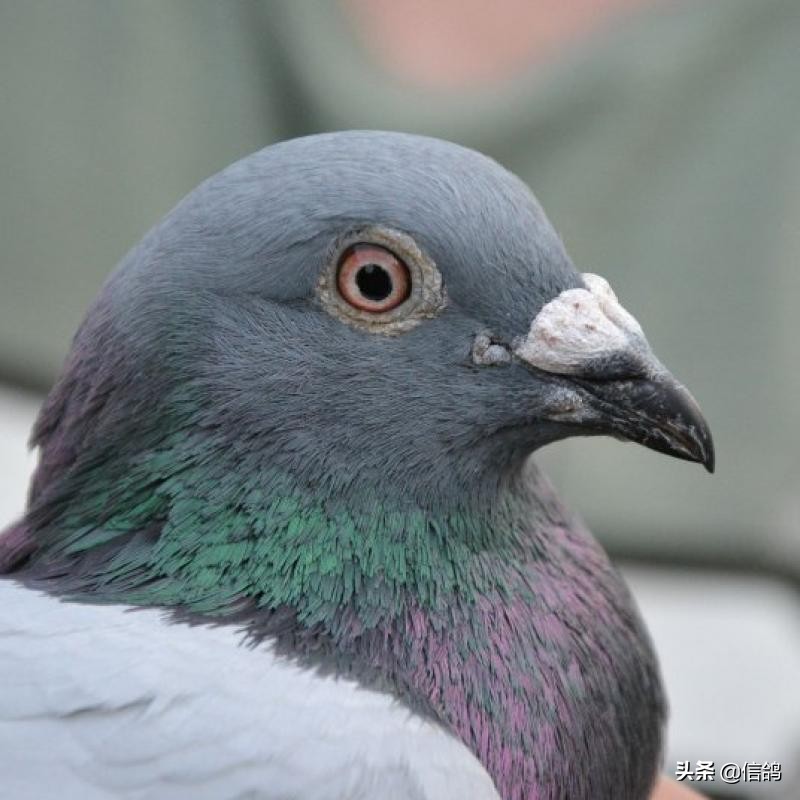 恒大风波起源,恒大风波的影响