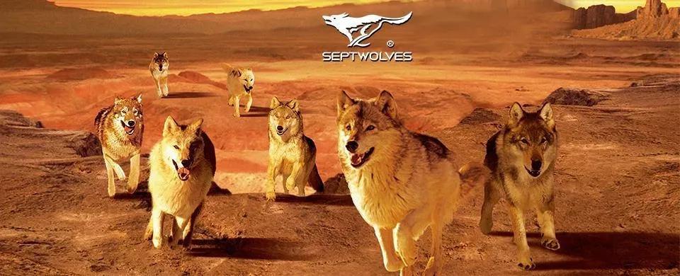 七匹狼和海澜之家有什么特点,七匹狼比较海澜之家