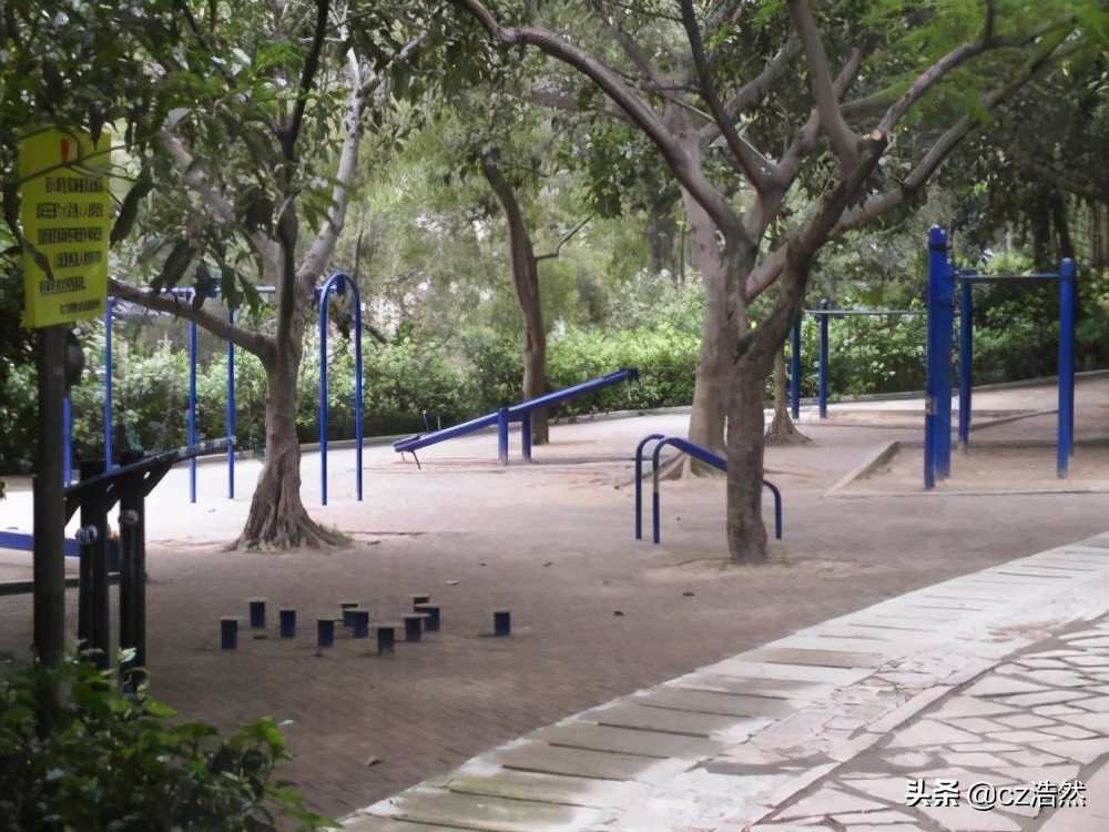 公园健身器材正确使用方法,公园的健身器材圆盘怎么使用