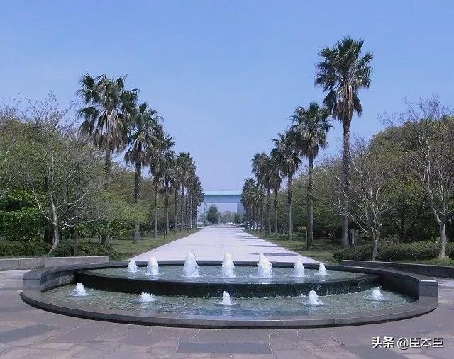 2020年东京奥运会看点大盘点,2020东京奥运会有哪些亮点