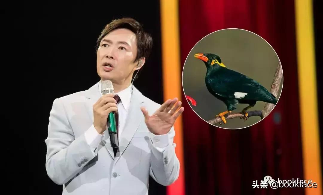 47年，“嘿嘿嘿”的污妖王要走了。有些人看着越不正经，越是深情