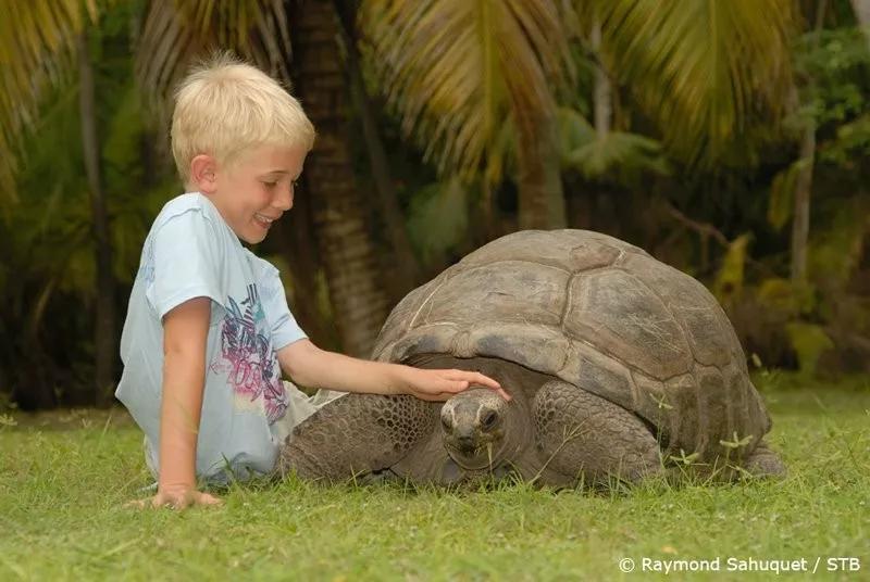 国内最美海岛no1媲美马尔代夫,比马尔代夫更值得去的国内海岛