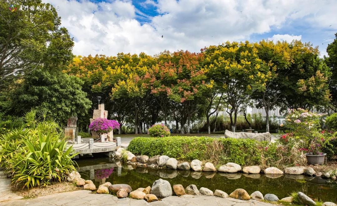 厦门最近哪里的花海最好看,江岭向日葵花海美成童话