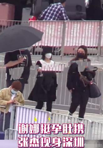 谢娜女儿的小名叫什么,谢娜二胎女儿小名什么意思