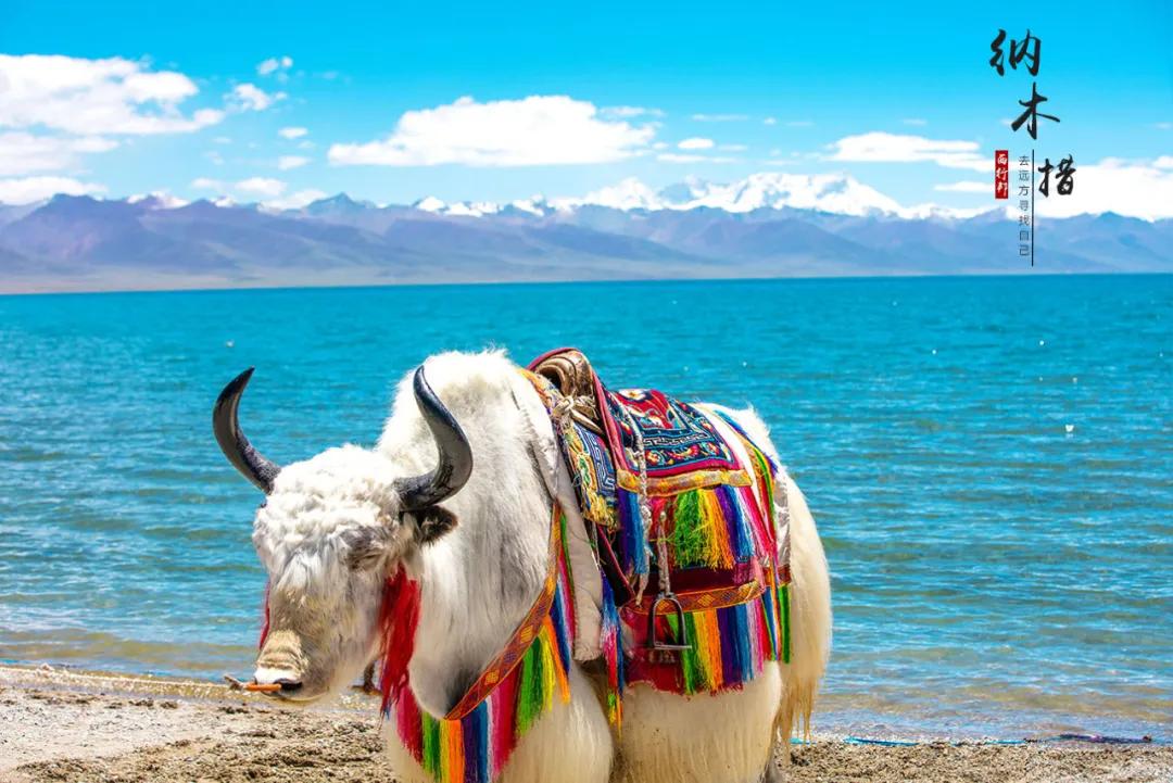 纳木错大美风景图片,大美西藏纳木错歌曲