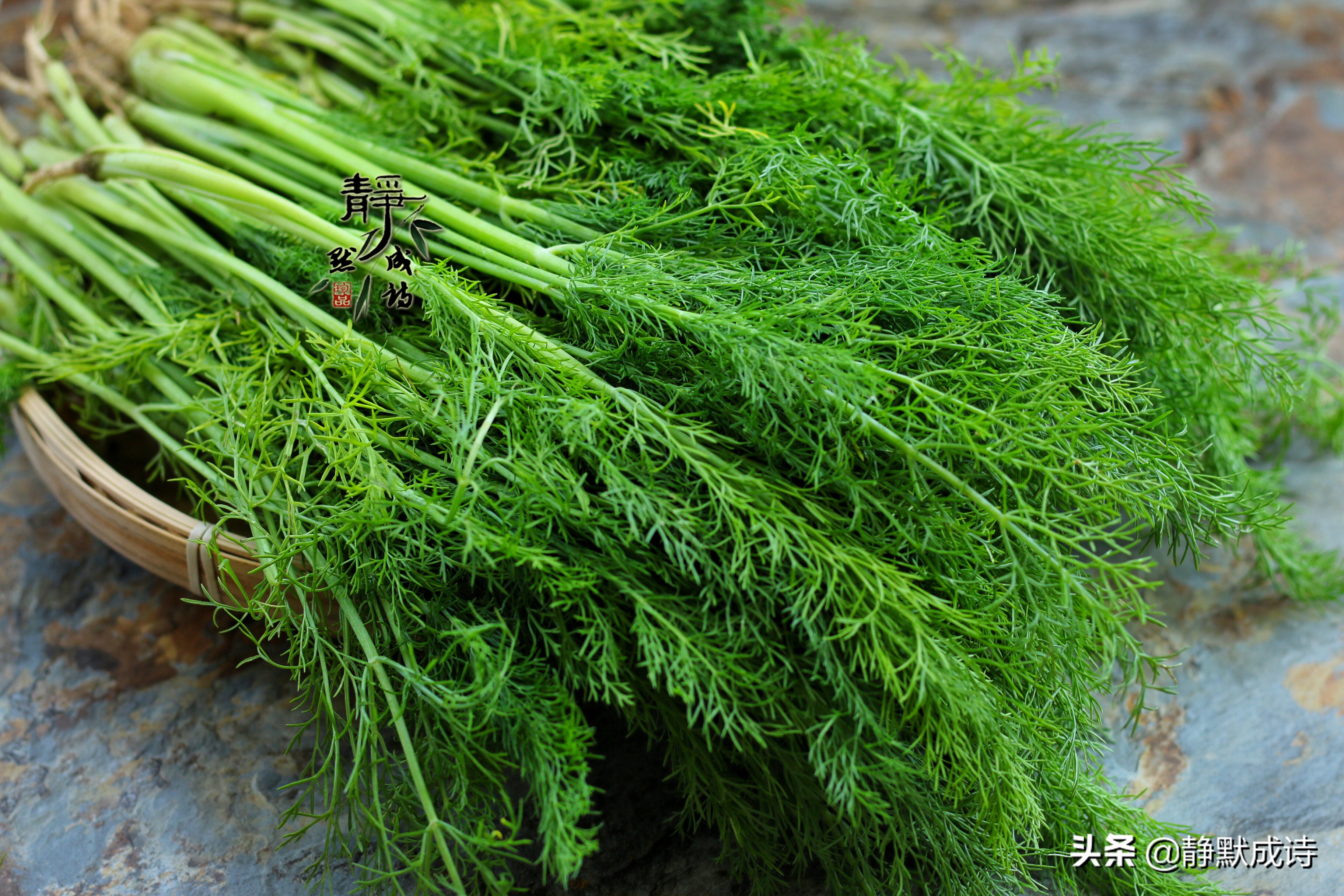 茴香猪肉馅饺子的家常做法大全,怎样做猪肉茴香馅儿饺子