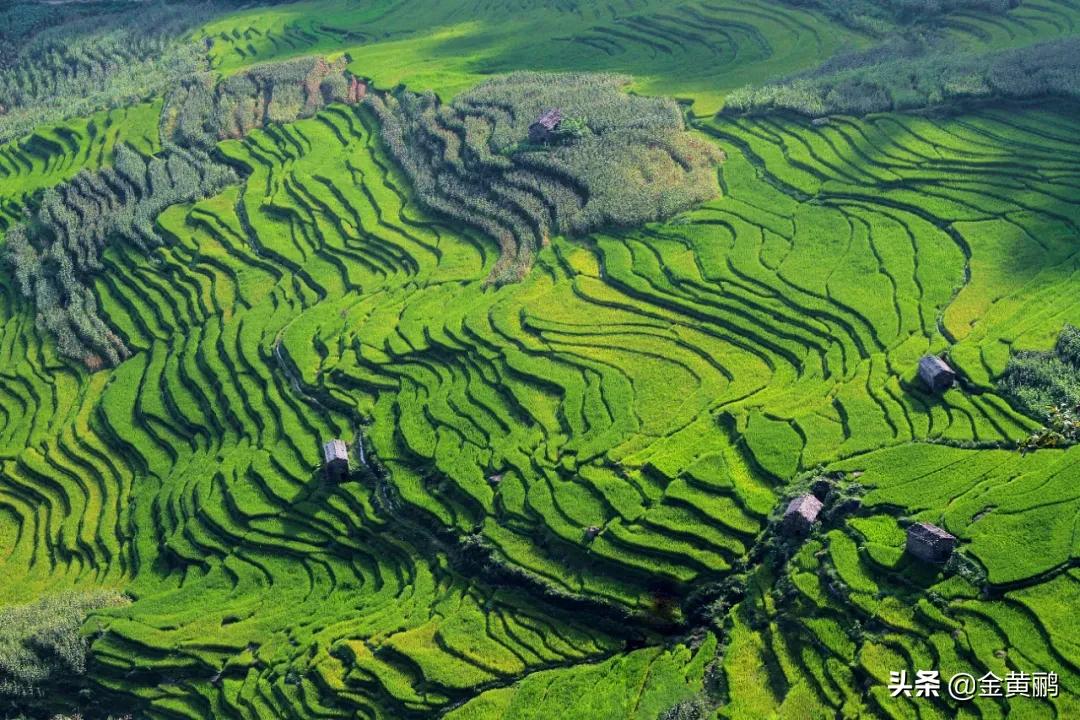 为什么云南女人长相好看,云南真的很漂亮吗