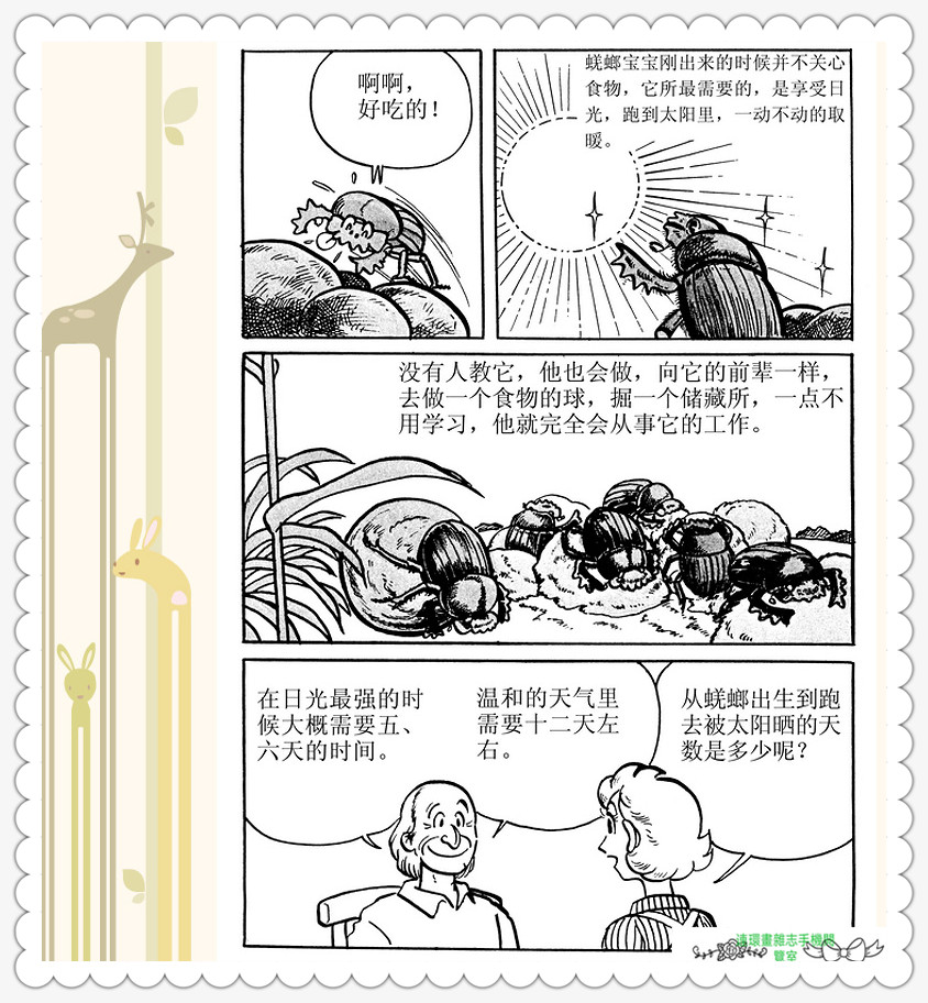 昆虫记法布尔动画片,昆虫记法布尔全套