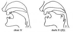 英语音标对应字母及发音规则,英语发音规则以及读法详解