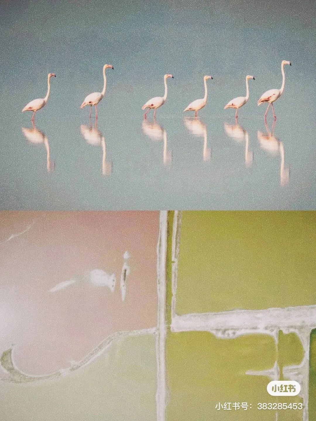 盐湖区中国死海,中国死海停业了吗