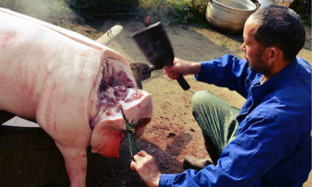 普通屠夫的真实生活,屠夫的真实秘密