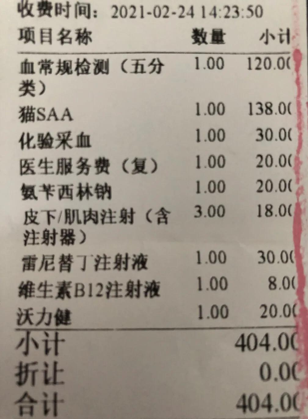 猫猫肠胃炎需要隔离吗,猫猫胃肠炎的症状及治疗方法