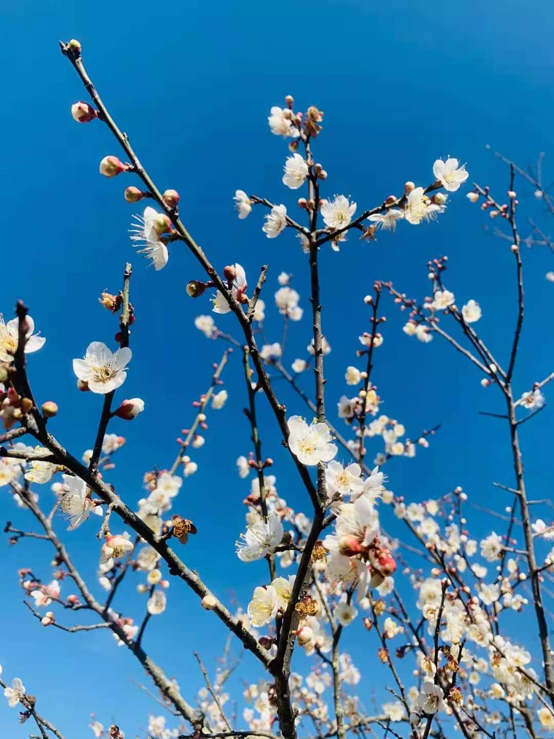 人类简史男权女权,男权与女权之间的战争