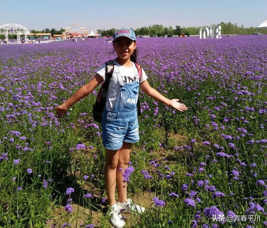 五四青年节征文活动,五四青年节主题征文800字10篇