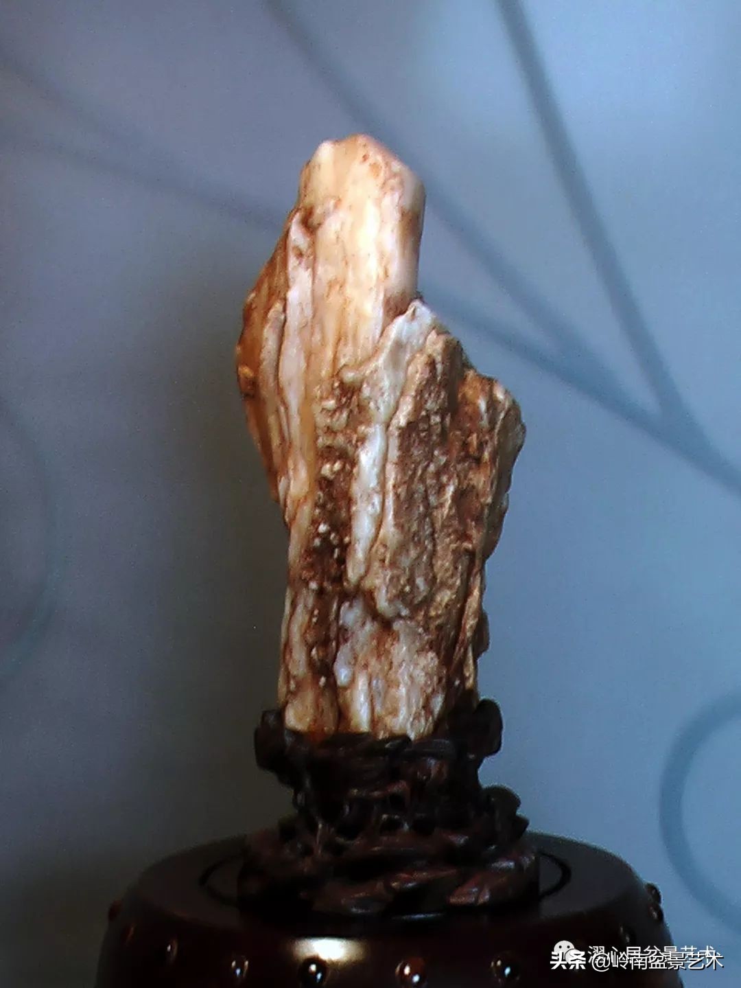 玩树藏石，不亦乐乎！