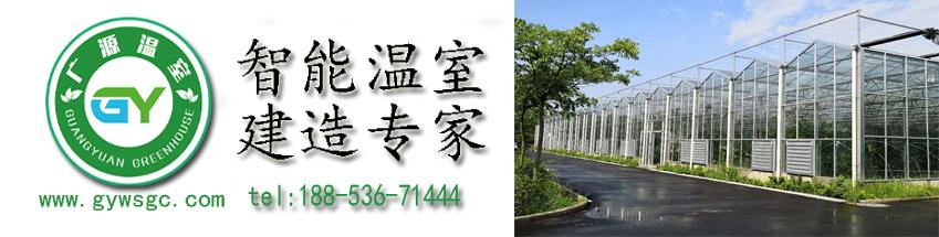 新型大型连栋温室大棚定制,专业生产养殖连栋温室大棚