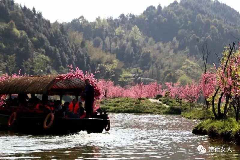 桃花源又见桃花开，盛景等君来，你若不来、花为谁开？