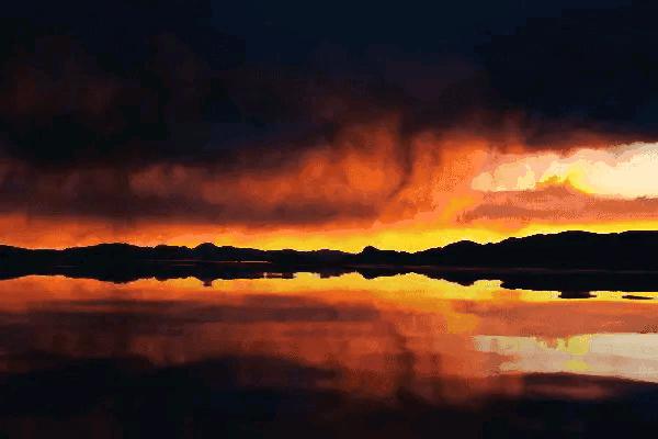 大自然山水花鸟大全,回归自然山水花鸟