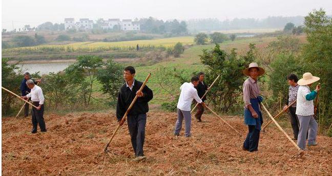 民间故事寡妇挖坟,民间俗语寡妇遇牛