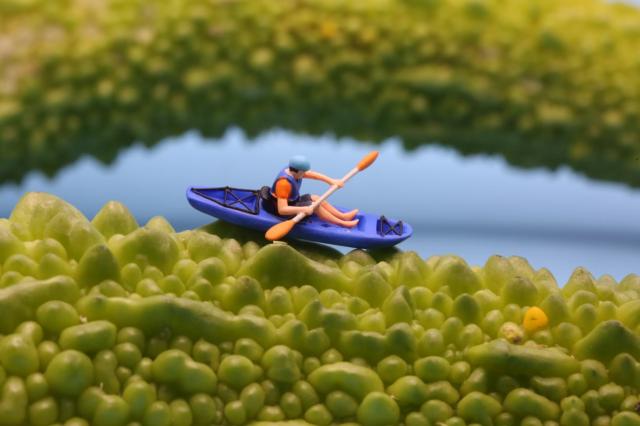 摄影师镜头微缩世界,摄影师镜头里的美