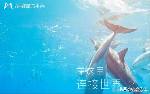 短视频运营干货：5种吸粉*法大**，让你的粉丝更值钱