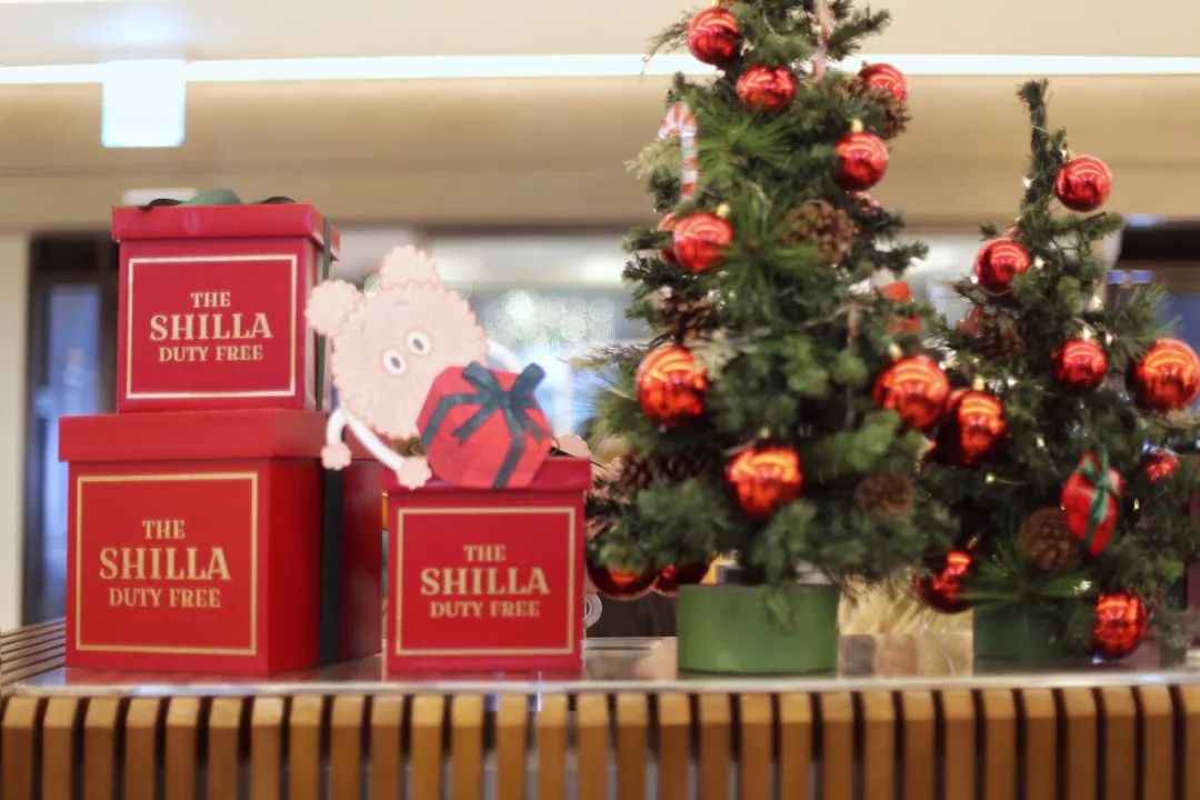 济州岛应该冬天去还是夏天去,冬日济州岛怎么玩