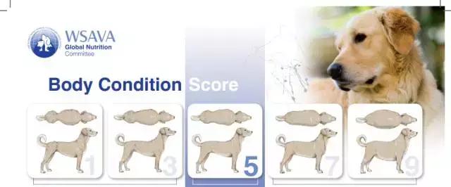 髋关节出了问题一个动作自测,这些症状你千万别再忽略了