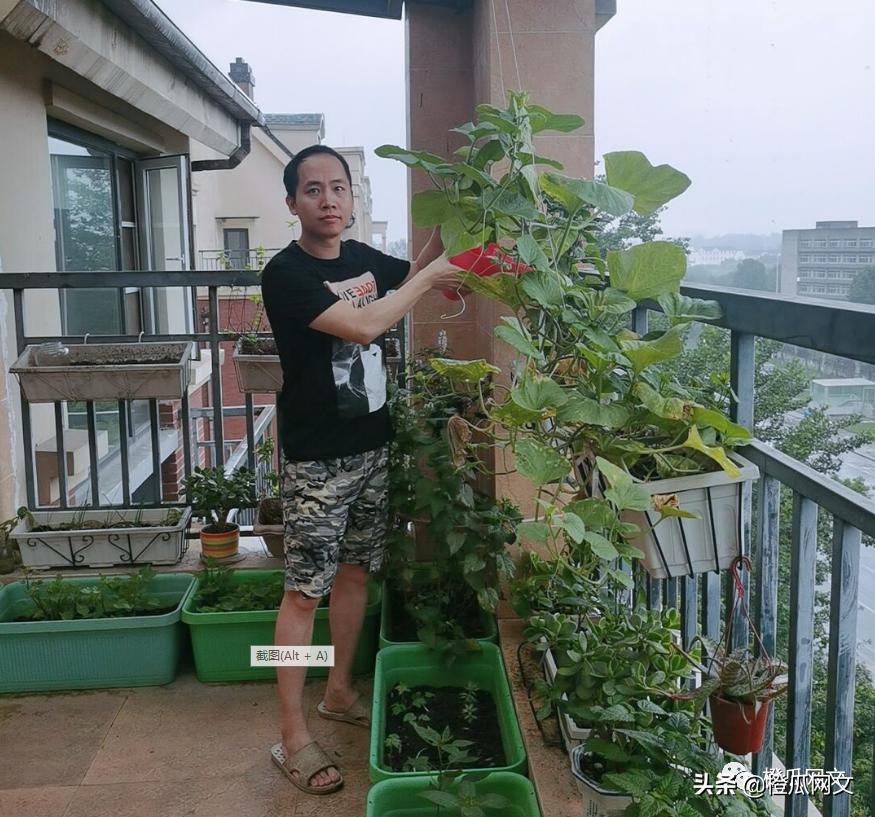 在书旗写作，我收获多套房和完美人生