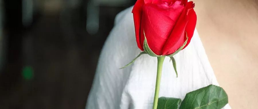 三天卖空千亩玫瑰，聚划算如何成为卖家的“新高地”