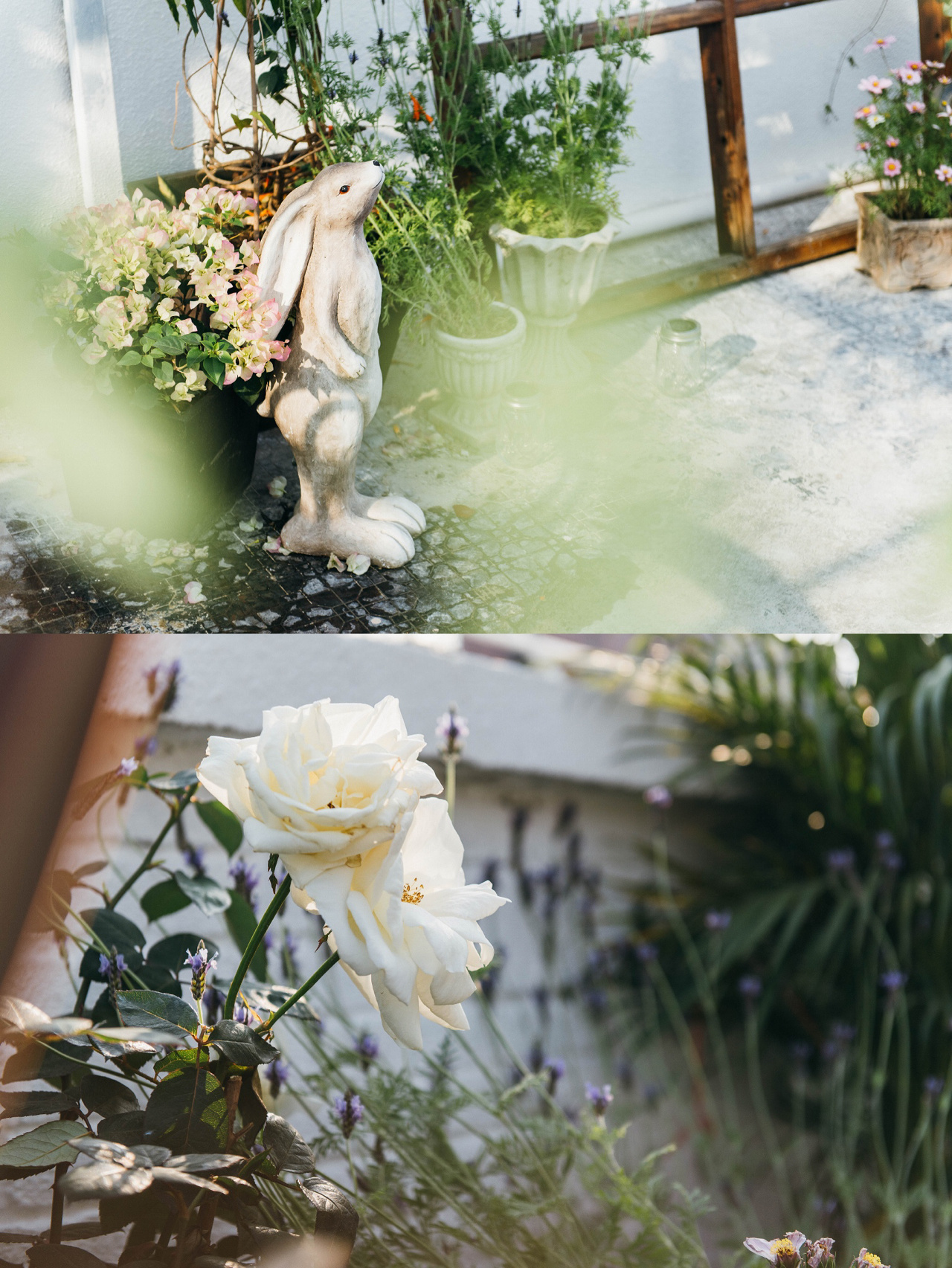 阳台花园改造封闭式设计,全封闭式阳台100款阳台花园设计图