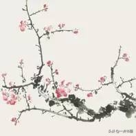 霍春阳讲解梅花的画法,霍春阳梅花构图