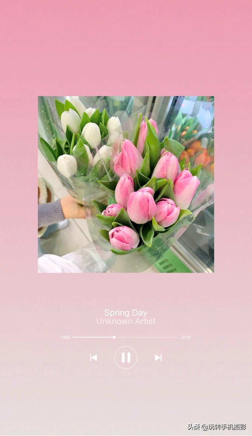 今年错过的春天，这些摄影app全给安排上了