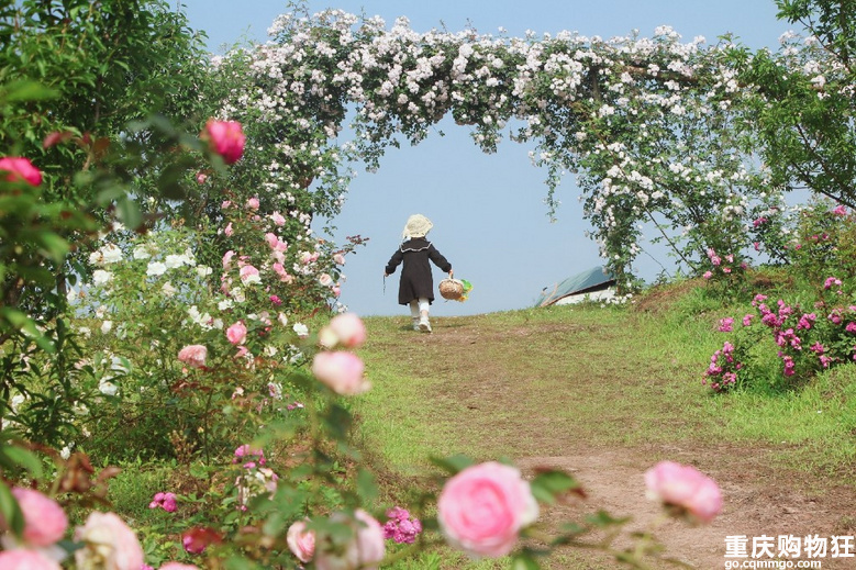 巴南三天两夜游玩攻略,下次去重庆哪里好玩