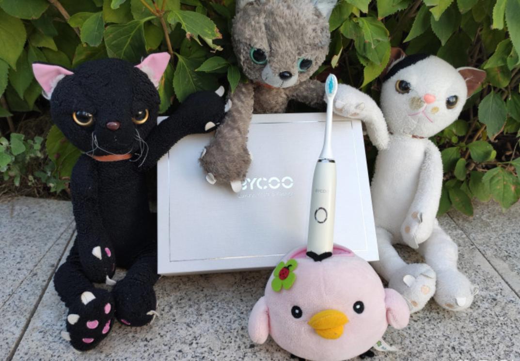 高颜值电动牙刷哪一款最好,bycooh9电动牙刷是哪国产的