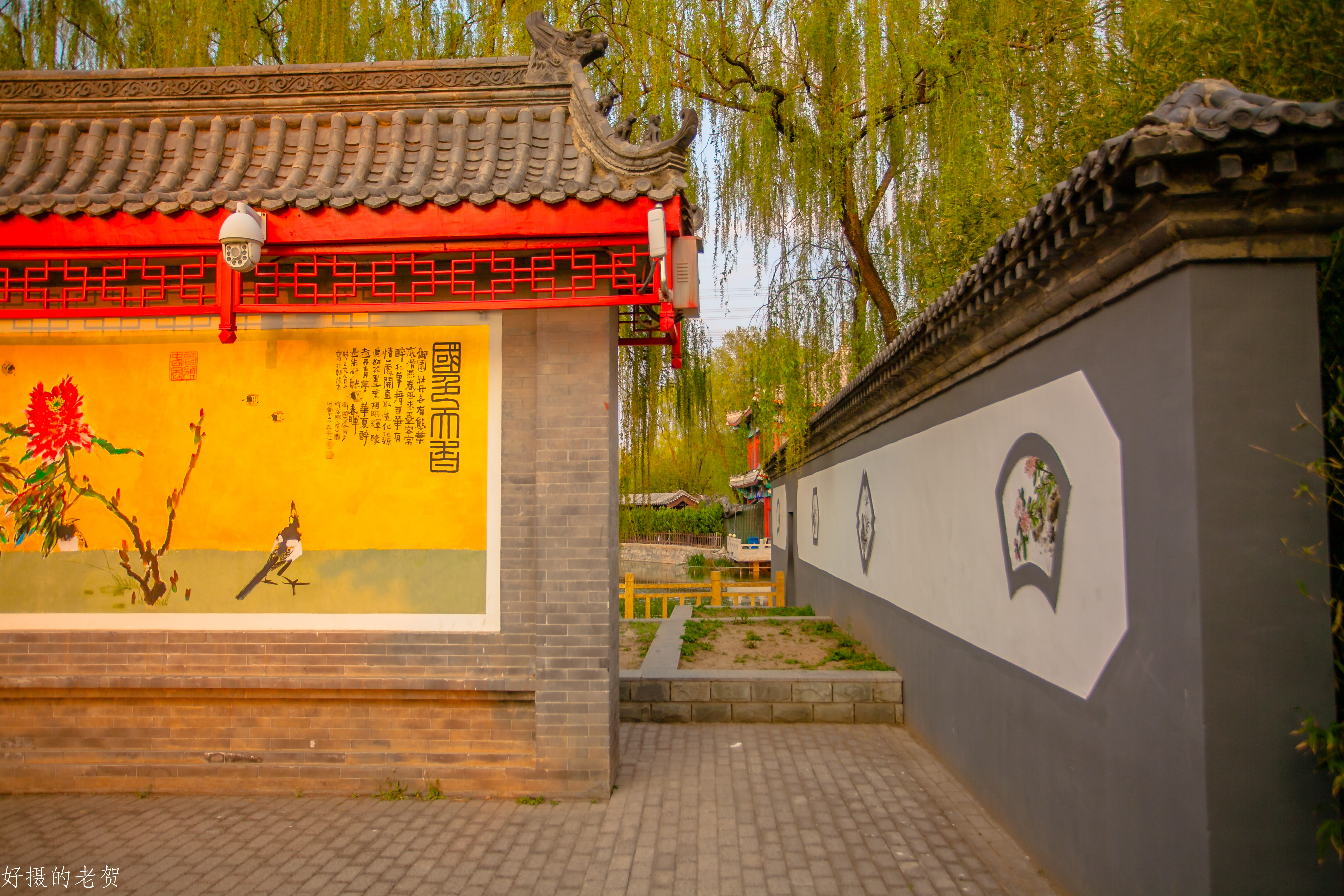 小小街头公园也有春天？疫情期间，它成为唯一舒缓心情的伊甸园