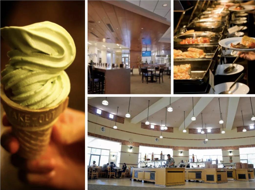 美国最强公立大学！届届承包奥运会全部金牌！UCLA，不说再见