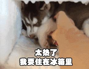 夏日空调好物推荐,空调房必备好物推荐