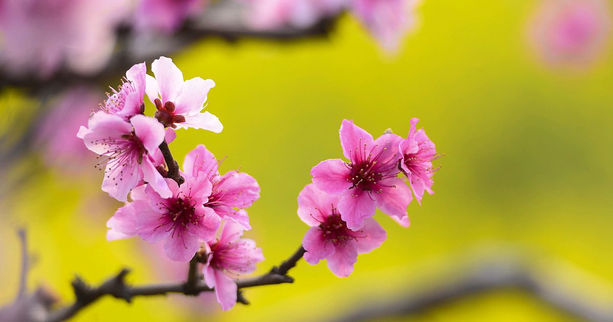 男人和女人三观合不合是指哪三观,家庭三观不合指哪三观