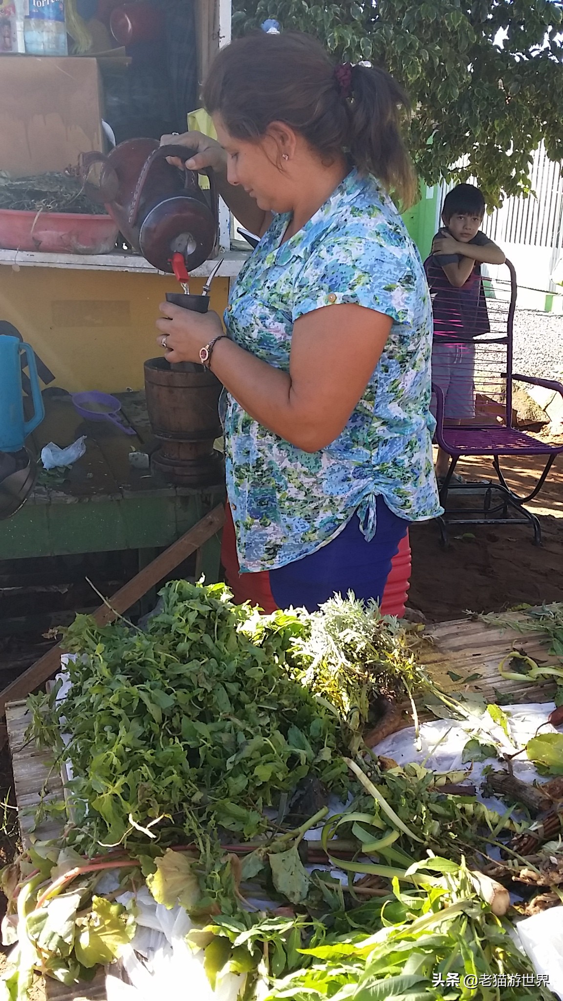 南美洲最后一个国家巴拉圭,巴拉圭南美国家