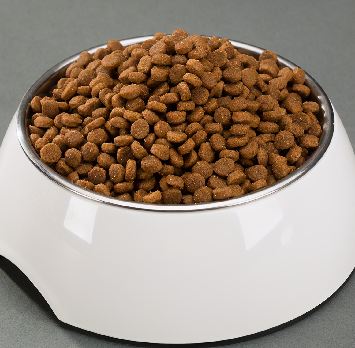 比熊犬进口专用狗粮推荐,比熊犬狗粮哪个牌子好用又便宜