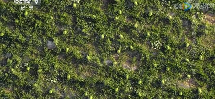 航拍中国宁夏详细景点,航拍中国宁夏详细笔记