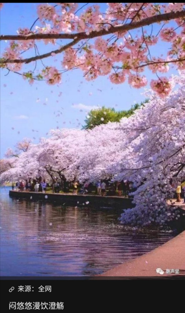 中国文化酒的别称，竟有285个，我又一次孤陋寡闻了