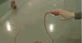 日本妹子设计的*体器人官**电器，有点重口味了吧…